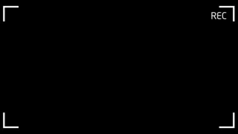 18301