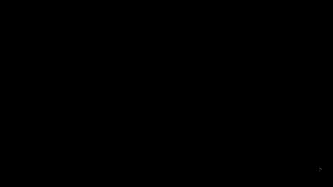 20047