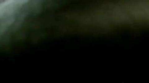 4338