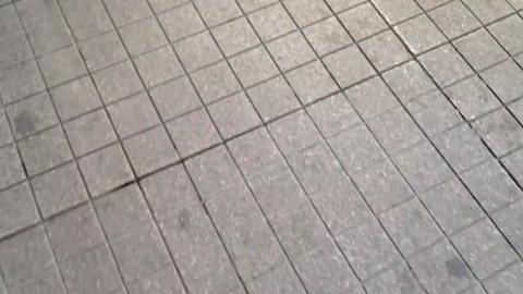 41005