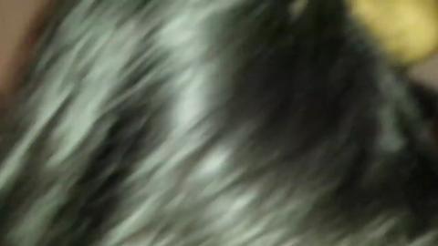 25652