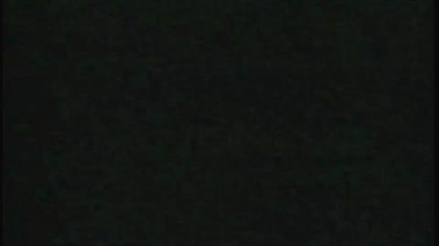 37691
